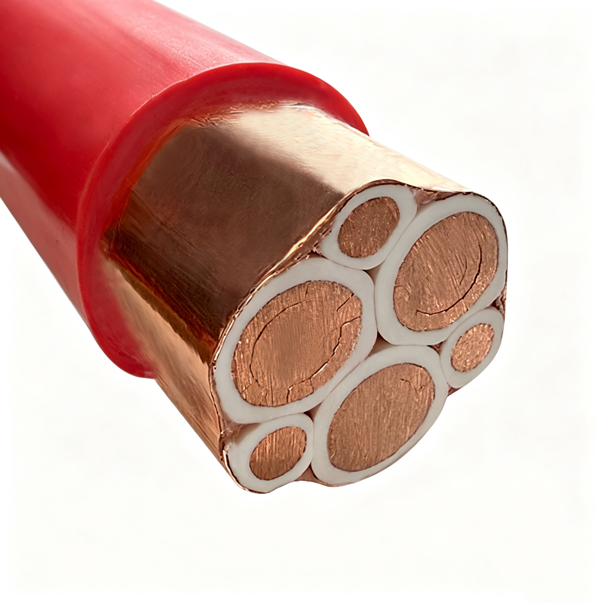 BPGGP product view 6